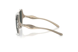 Vedere laterală Diesel DL3010U (203587)