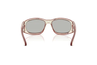 Vedere din spate Diesel DL3012U (20108V)