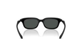 [glasses-back-view] Diesel DL3013U (200287)