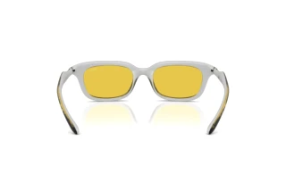 Vedere din spate Diesel DL3013U (2030V9)