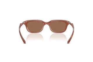 Vedere din spate Diesel DL3013U (203373)