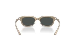 Vedere din spate Diesel DL3013U (203587)