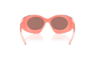 [glasses-back-view] Diesel DL3014U (2061/Z)