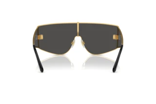 Vista posterior Dolce & Gabbana DG2305 (02/87)