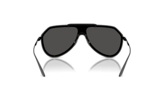 [glasses-back-view] Dolce & Gabbana DG2309 (01/87)