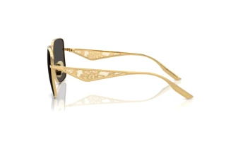 [glasses-side-view] Dolce & Gabbana DG2310 (02/87)