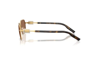 [glasses-side-view] Dolce & Gabbana DG2316 (02/73)