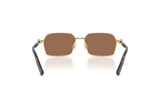 [glasses-back-view] Dolce & Gabbana DG2316 (02/73)