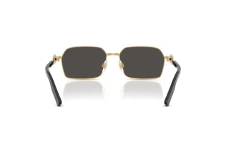 [glasses-back-view] Dolce & Gabbana DG2316 (02/87)