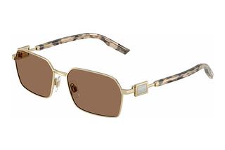 Dolce & Gabbana DG2316 488/73 Dark BrownPale Gold