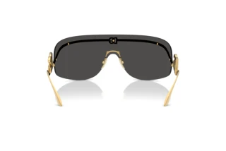 [glasses-back-view] Dolce & Gabbana DG2320 (02/87)