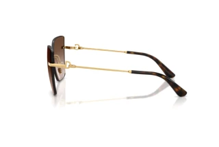 [glasses-side-view] Dolce & Gabbana DG2321 (02/13)