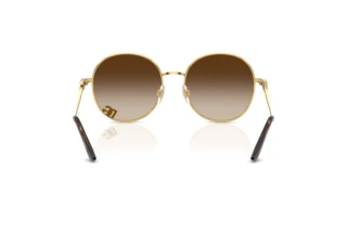 Vedere din spate Dolce & Gabbana DG2324 (02/13)