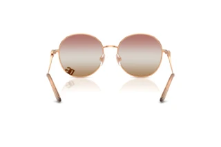 Vedere din spate Dolce & Gabbana DG2324 (1298EL)