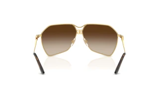 [glasses-back-view] Dolce & Gabbana DG2326 (02/13)