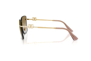 [glasses-side-view] Dolce & Gabbana DG2332B (02/6E)