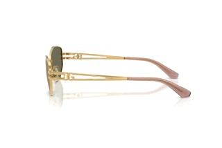 [glasses-side-view] Dolce & Gabbana DG2338 (02/03)