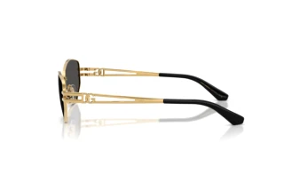 [glasses-side-view] Dolce & Gabbana DG2338 (02/87)