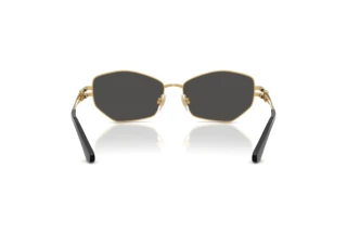 [glasses-back-view] Dolce & Gabbana DG2338 (02/87)