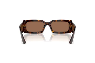 [glasses-back-view] Dolce & Gabbana DG4416 (193573)