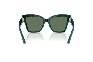 Vedere din spate Dolce & Gabbana DG4470 (3460/2)