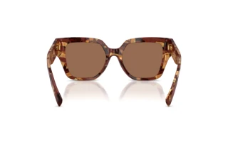 Vedere din spate Dolce & Gabbana DG4471 (346273)