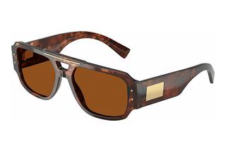 Dolce & Gabbana DG4482 322273 Dark BrownDark Red Havana