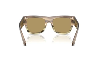 Vista posterior Dolce & Gabbana DG4484 (3439/2)