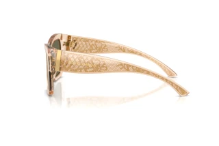 [glasses-side-view] Dolce & Gabbana DG4493 (343203)