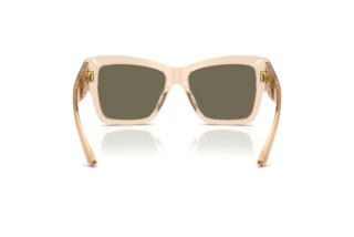 [glasses-back-view] Dolce & Gabbana DG4493 (343203)