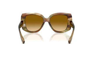 Vista posterior Dolce & Gabbana DG4495 (34462L)