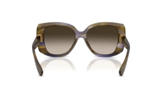 Vy bakifrån Dolce & Gabbana DG4495 (344713)