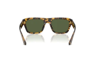 [glasses-back-view] Dolce & Gabbana DG4496 (333071)