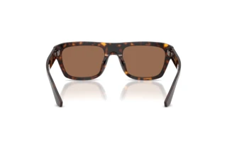 Πίσω όψη Dolce & Gabbana DG4496 (502/73)