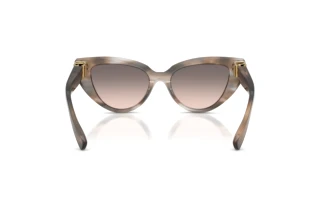 [glasses-back-view] Dolce & Gabbana DG4497 (34493B)