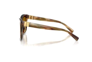 [glasses-side-view] Dolce & Gabbana DG4498 (34462L)