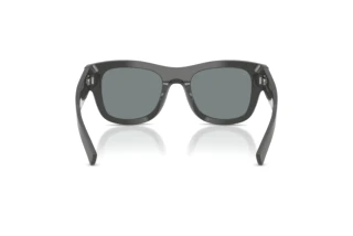 Vista posterior Dolce & Gabbana DG4509 (3090/1)