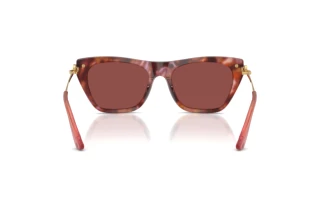 [glasses-back-view] Dolce & Gabbana DG4511 (344475)