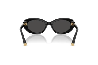 [glasses-back-view] Dolce & Gabbana DG4519 (501/87)