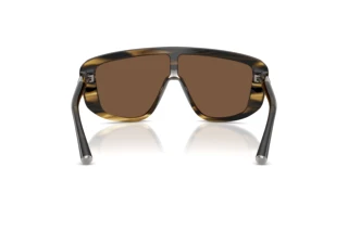 Изглед отзад Dolce & Gabbana DG4520 (306373)