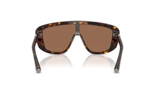 Vedere din spate Dolce & Gabbana DG4520 (502/73)