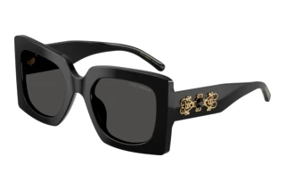 Vedere din față Dolce & Gabbana DG4525B (501/87)