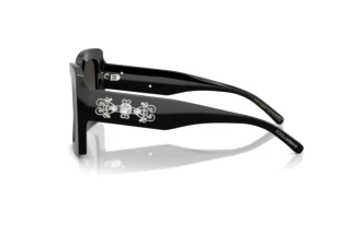 Vedere laterală Dolce & Gabbana DG4525B (501/88)