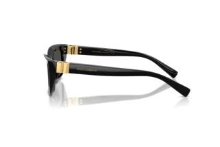 [glasses-side-view] Dolce & Gabbana DG4532 (501/87)