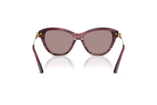[glasses-back-view] Dolce & Gabbana DG4534 (3474LA)