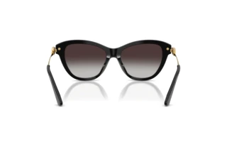 [glasses-back-view] Dolce & Gabbana DG4534 (501/8G)