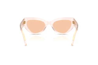 Achteraanzicht Dolce & Gabbana DG4536 (304173)