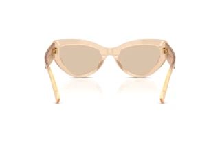 Achteraanzicht Dolce & Gabbana DG4536 (308993)