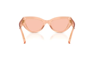 Vy bakifrån Dolce & Gabbana DG4536 (322684)