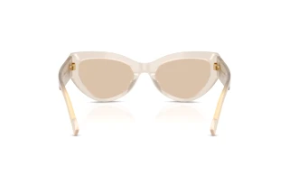 [glasses-back-view] Dolce & Gabbana DG4536 (342093)